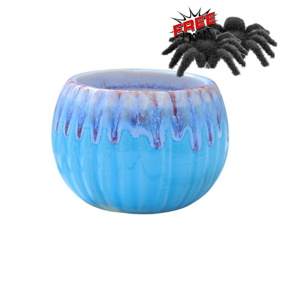 FEOLGEHLY Halloween Cream Pumpkin Cactus Planter Ceramic Round Breathable Vertical Small Planter Colorful Flowing Glaze Gardening Flower Vase, Halloween Fall Thanksgiving Decorations, Blue