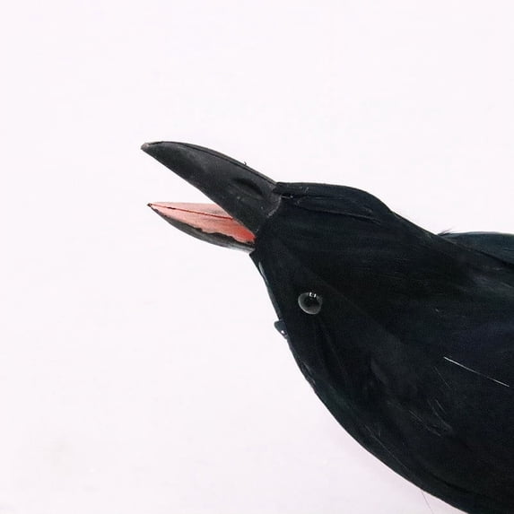 FEOLGEHLY Halloween Realistic Crow, 9 inch Small Black Feathered Standing Crow for Halloween Decorations Birds,Spooky Ravens for Indoor Outdoors Yard Tree Garden Patio Haunted House Prop Decor