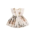 thumbnail image 1 of FEORJGP Kids Baby Girl Tulle Dress 12M 18M 2T 3T 4T 5T Toddler Ruffle Princess Dress Sleeveless Party Dress Round Neck Floral Embroidery Tutu Dress Inlegant Cute Summer Dress for Party Daily, 1 of 8