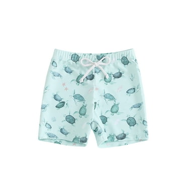 FEORJGP Kids Boys Swim Trunks 6M 12M 18M 2Y 3Y 4Y Toddler Summer Elastic Drawstring Board Shorts Dinosaur/Plaid/Turtle Print Swimwear Bathing Suit Cute Comfy Soft Fashion Beachwear for Vacation