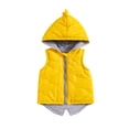 thumbnail image 1 of FEORJGP Kids Toddler Infant Girls Winter Warm Vest Coat Sleeveless Hooded Waistcoat Cartoon Dinosaur Zipper Jacket Solid Outerwear Cute Casual Daily Clothes, 1 of 9