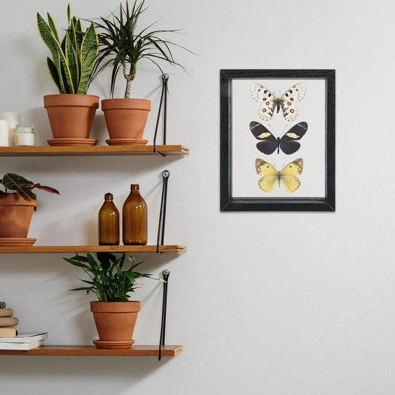 FESTFENDS Pressing Flower Display Frame Diy Display Box Black 1Pcs 8.1x6.4in