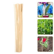 FESTFENDS 20Pcs Stable Khaki Plant Stakes for Climbing Plants Indoor and Outdoor Garden Use