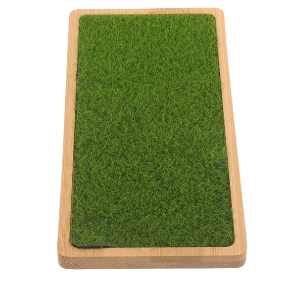 FESTFENDS Natural Wood Display Riser 1Pack Figures and Collectors in Bedroom