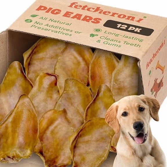 FETCHERONI Whole Pig Ears for Labrador Retriever Dogs Large - 12 Pack Long Lasting Dog Chews Dog Treats One Ingredient Delicious All Natural Flavor Easy to Digest Dog Treats for Large Dog