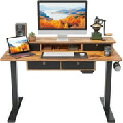 FEZIBO 48 x 24 Inch Height Adjustable Electric Standing Desk with 4 Drawers, Stand Up Table with Storage Shelf, Sit Stand Desk with Splice Board, Black Frame/Rustic Brown Top