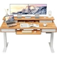 FEZIBO Height Adjustable Electric Standing Desk with 4 Drawers and
