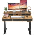 FEZIBO Height Adjustable Electric Standing Desk with 5 Drawers, 48 x 24