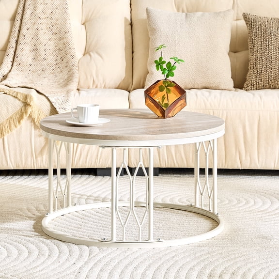 FFZ Round Coffee Table with Stone-Effect Texture and Metal Legs, 27.5 inch Diameter, White