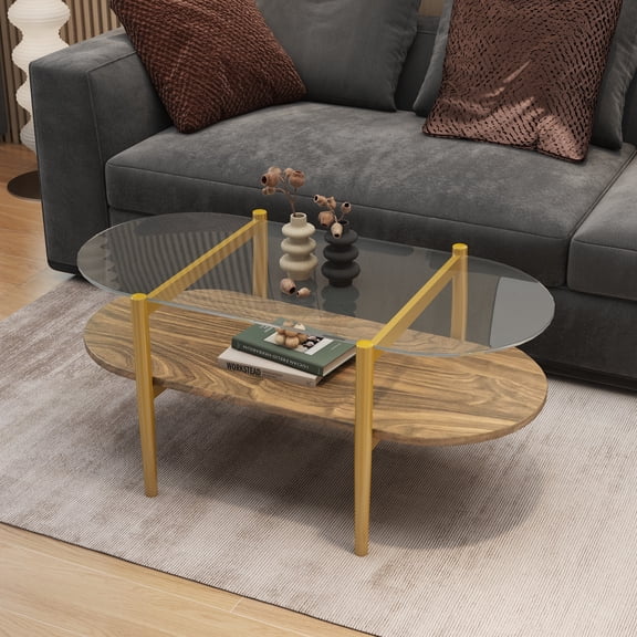 FFZ Oval Glass Coffee Table with Double-Layer Storage, 41 x 21 x 17 inch, Wood