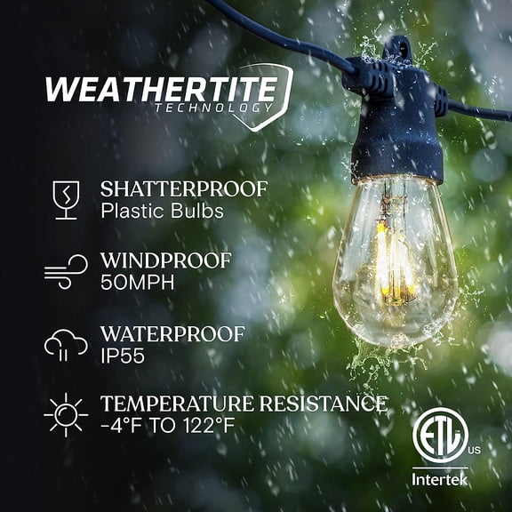 FGERFE-Ambience Pro Solar Powered Outdoor String Lights, 27ft Remote Control Commercial Grade Waterproof Patio Lights, 12 Edison Bulbs, Shatterproof LED String Lights for Outside - 1W Soft White
