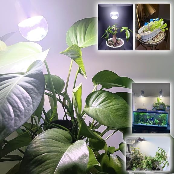 FGERFE-Full Spectrum Small Base E12 Candelabra Plant Grow Light Bulbs,Red Blue Yellow 5000K White Plant Growing Lamp Bulbs 10W with Balanced Spectrum for Indoor Seeds Greens Laboratory,School,Greenho