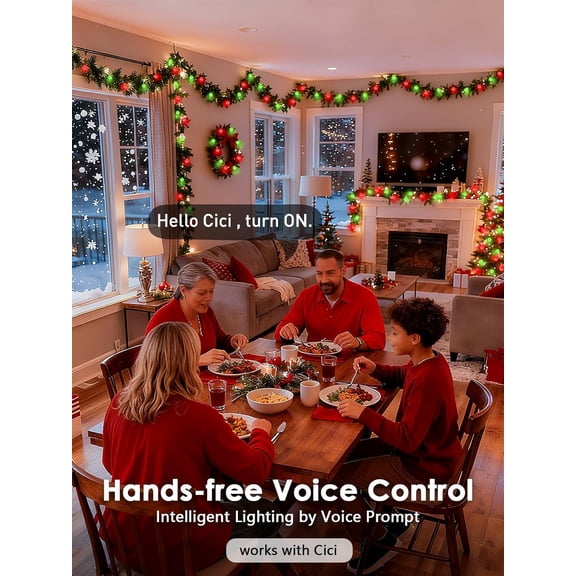 FGTHBF-2026 New Connectable 43FT Smart Voice Controlled String Lights Indoor Outdoor | 100LED Red and Green Globe Fairy Lights with Remote, 12 Modes Waterproof Hanging Light for Bedroom Classroom Dec
