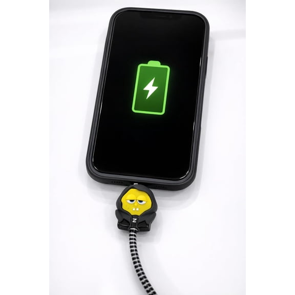 FGTHBF-Charger Case Cover with Full Cable Protector 3D Cute Pattern Compatible for iPhone Charger Only 18W & 20W iPhone 16,iPhone 13,iPhone 15,iPhone 14 (Anime and Console)
