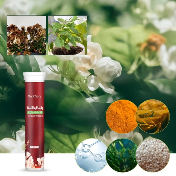 FHBVT All-Purpose Slow-Release Fertilizer Tablets Nitrogen Phosphorus Potassium Enriched For Flowers Vegetables Succulents Home Gardening Transplanting Plant Growth Christmas New Year Plant Food