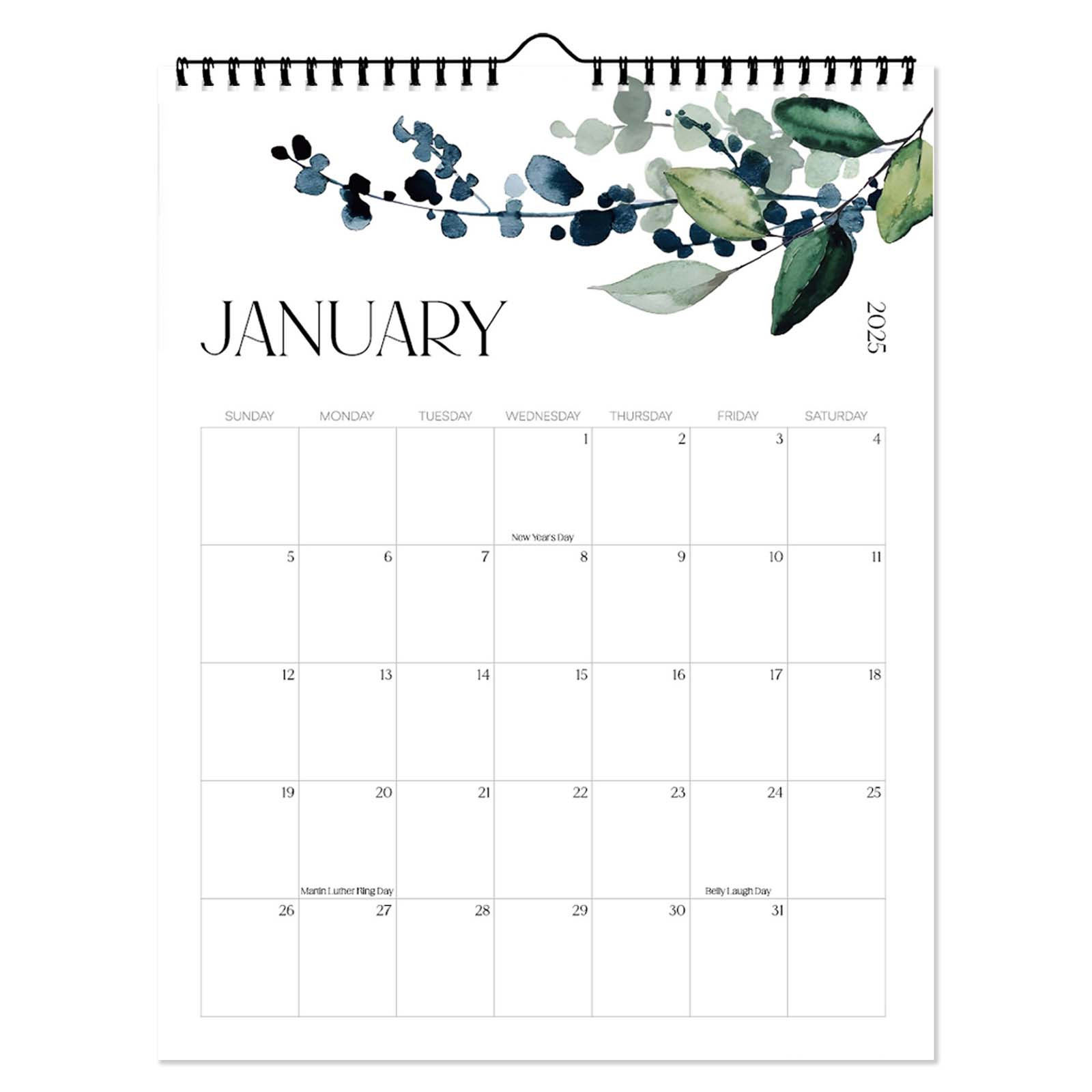 FIAOIRN 2025 Wall Calendar 18 Month Calendar For January 2025 June