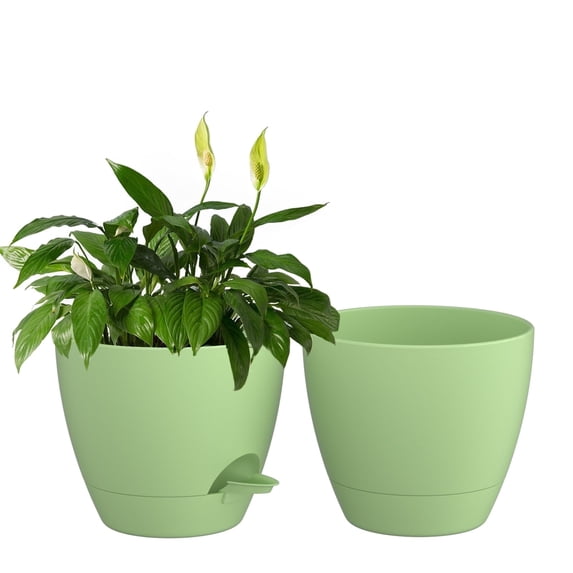 FIASON 2 Pack Matte Green Self Watering Plant Pots 10 Inch, Lightweight Plastic Planters with Detachable Tray, Watering Lip and Drainage Holes for Indoor Outdoor, Kitchen, Classroom and Balcony