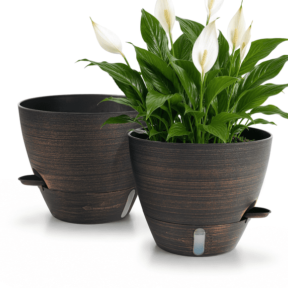 FIASON 2 Pack 10 Inch Bronze Self-Watering Plastic Plant Pots, Indoor Outdoor Garden Planters with Drainage Holes, Watering Lip & Removable Saucer for House Plants & Flowers
