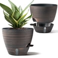 thumbnail image 1 of FIASON 2 Pack 12 Inch Brushed Bronze Self Watering Planters, Large Decorative Plant Pots with 1600ml Reservoir, Water Level Window & Removable Saucer for Indoor Outdoor, 1 of 9