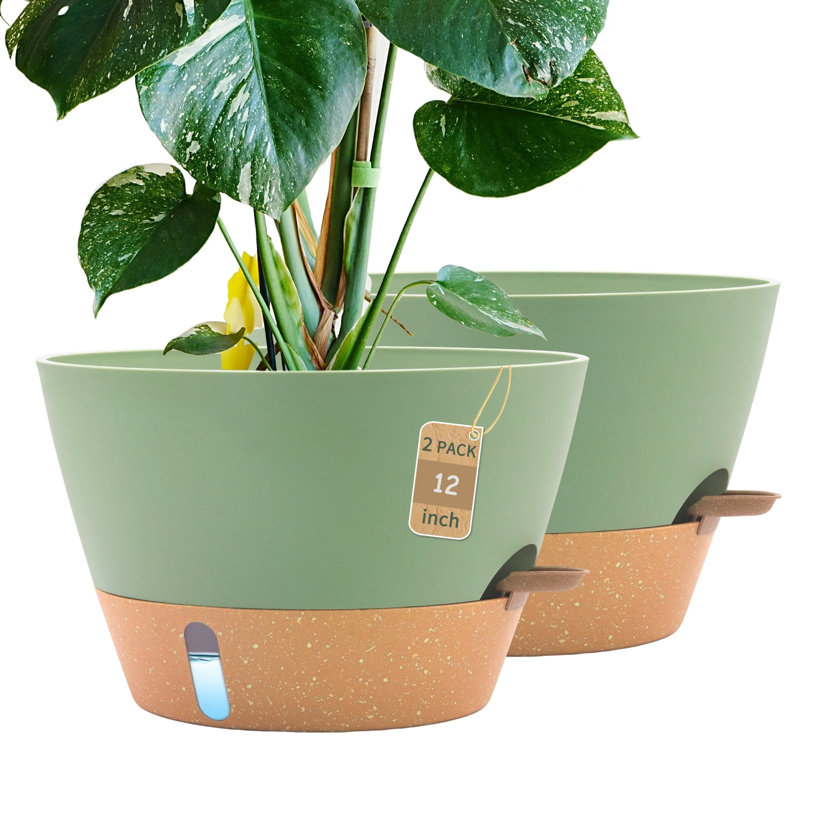 FIASON 2 Pack Plastic 12 Inch Green with Brown Self-Watering Plant Pots ...