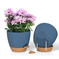 thumbnail image 1 of FIASON 2 Pack Plastic 8 Inch Blue with Brown Self Watering Plant Pots for Indoor Outdoor,Flower Pots Include Drainage Holes and Saucer, 1 of 10