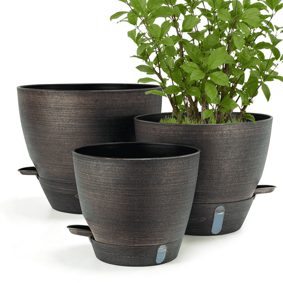 FIASON 3 Pack Plastic 8/9/10 Inch Bronze Self Watering Plant Pots,Include Watering Lip,Drainage Holes and Removable Saucer,Flower Pots for Indoor Outdoor Plants