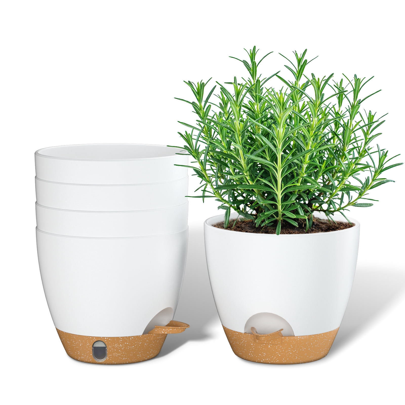 FIASON 5 Pack 6 Inch White with Brown Self Watering Plant Pots, with ...