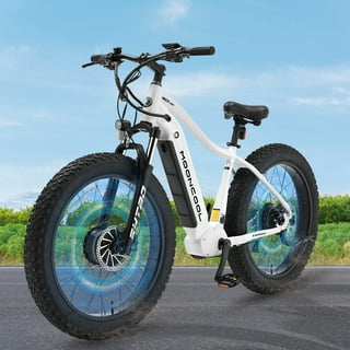 Sofia fat online bike price