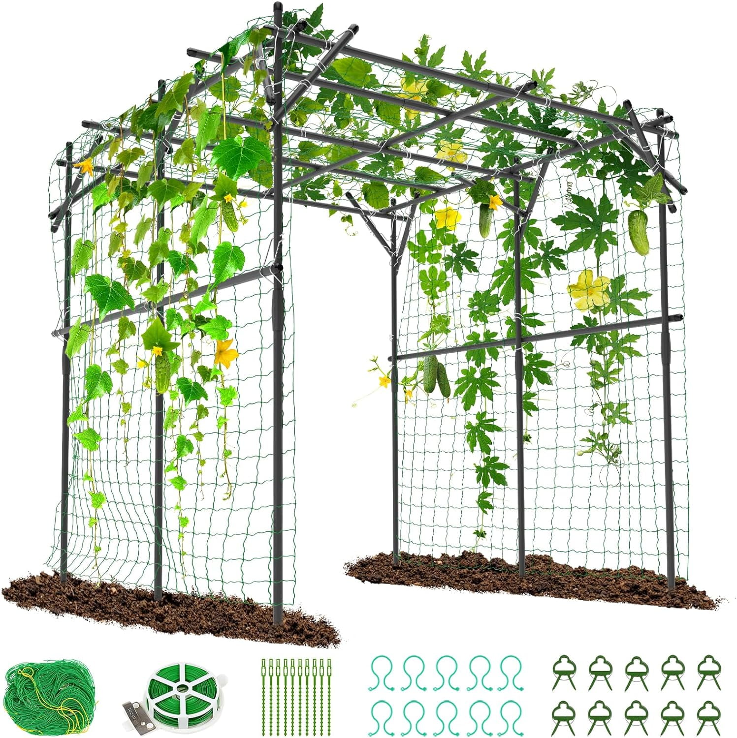 GIRUVI 「Grow on the Wall」Gracilius Amazon.com : VINGLI Wood Garden Arbor, 85in Wedding Arch