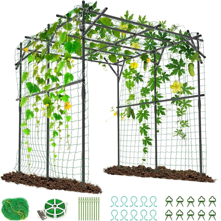 GIRUVI 「Grow on the Wall」Gracilius GIRUVI 「Grow on the Wall」Gracilius Vines of Green Ivy