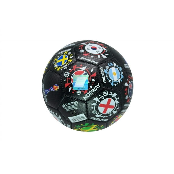 FIFA Women's World Cup France 2019 Official Soccer Ball Size 2