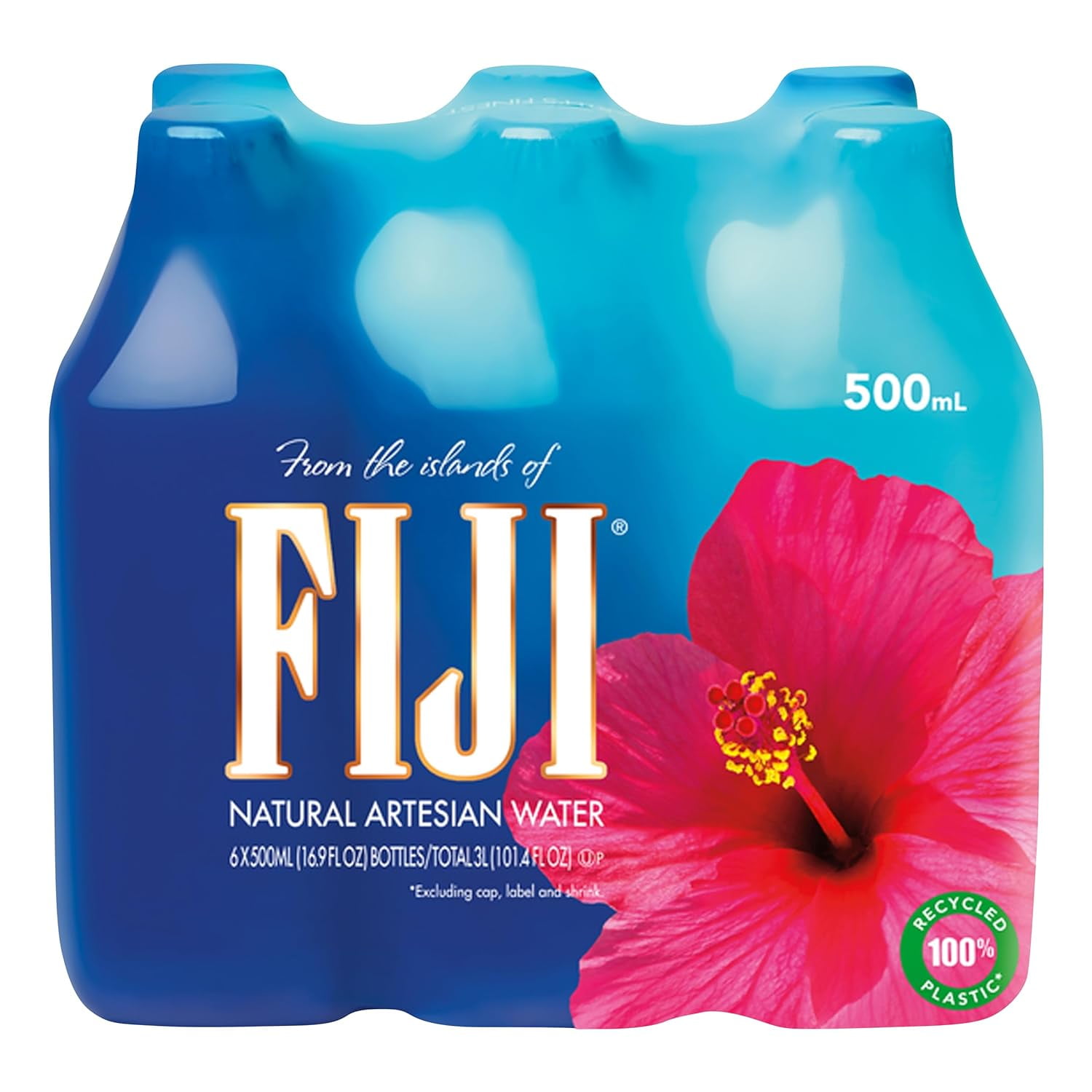 FIJI Natural Artesian Water, 16.9 fl. oz. (Pack of 6 Bottles)