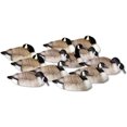 FINAL APPROACH Shell Honkers 474165FA Decoy High Definition 12 Pack