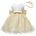 thumbnail image 1 of FINALGANG Baby Girls Lace Tulle Dress With Matching Headband Sleeveless Crewneck Bow Decor Princess Party Dress For Daily Wear Versatile Dress, 1 of 4
