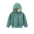 thumbnail image 1 of FINALGANG Boys Sweatshirts Autumn Kids Cozy Solid Color Plush Hoodie With Cute Cartoon Embroidery Long Sleeve Loose Fit Hooded Pullover For Casual Daily Wear Warm Outings Cute Tops, 1 of 2