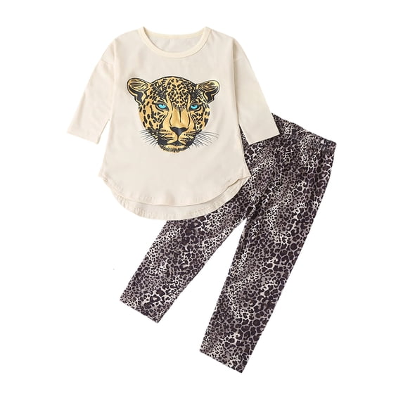 FINALGANG Girls 2 Piece Casual Set Kids Fall Winter Cheetah Print Long Sleeve Crewneck Pullover Leopard Elastic Waist Pants For Daily Wear Soft Set