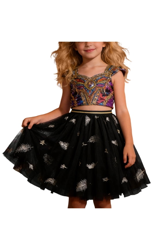 Girls Carnival Skirt Kids Feather Flower Embroidery Tutu Skirt Multi Layer Tulle Elastic Waist Skirt For Party Holiday Special Occasions Daily Wear Leisure Bottoms