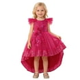 thumbnail image 1 of FINALGANG Girls Dress Kids Solid Color Dress With Floral Lace Appliques Ruffled Flutter Sleeves Crewneck Sequin Trimmed High Low Tulle Skirt Formal Gown For Holiday Season, 1 of 8