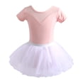 thumbnail image 1 of FINALGANG Girls Kids Ballet Tutu Dress Short Sleeve Mesh Neckline Leotard With Tulle Skirt For Dance Recitals Performances Cute Dress, 1 of 2