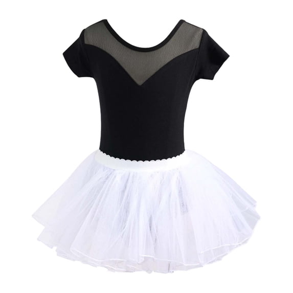 FINALGANG Girls Kids Ballet Tutu Dress Short Sleeve Mesh Neckline Leotard With Tulle Skirt For Dance Recitals Performances Stylish Dress