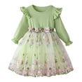 thumbnail image 1 of FINALGANG Girls Kids Ribbed Knit Dress Long Sleeve Crewneck Ruffle Trim Floral Embroidery Tulle Skirt Princess Party Dress For Daily Wear Trendy Dress, 1 of 9