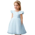 thumbnail image 1 of FINALGANG Girls Kids Solid Color Tulle Dress Ruffle Cap Sleeve Crewneck High Waist A Line Skirt Princess Party Dress For Daily Wear Blue 4-5 Years, 1 of 5