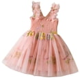 thumbnail image 1 of FINALGANG Girls Toddler Butterfly Wings Embellished Floral Embroidered Tulle Dress A Line Fairy Party Dress For Casual Daily Wear Cozy Dress, 1 of 9