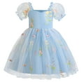 thumbnail image 1 of FINALGANG Girls Toddler Puff Sleeve Tulle Dress Heart Neck Floral Embroidery A Line Formal Party Gown For Performances Daily Wear Lovely Dress, 1 of 9