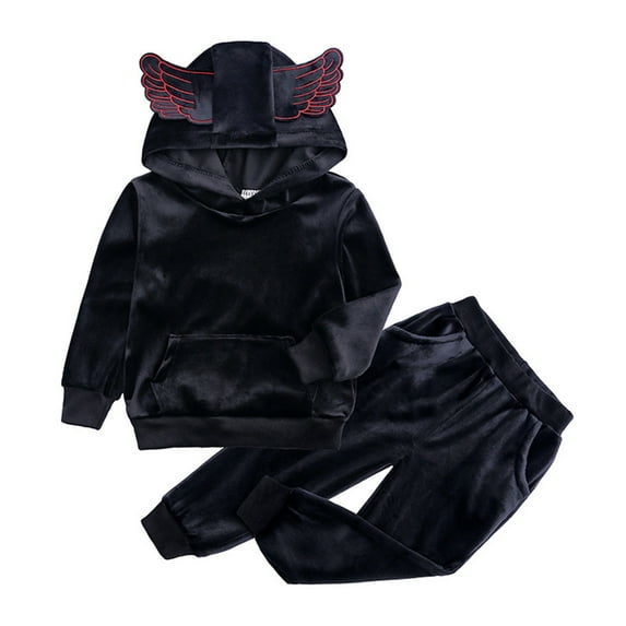FINALGANG Girls Toddler Two Piece Velour Outfit Wing Decor Hooded Long Sleeve Sweatshirt Elastic Waisted Jogger Pants For Daily Casual Outdoor Wear Cute Set