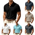 thumbnail image 1 of FINALGANG Men Lapel Collar Short Sleeve Polo Shirt Waffle Grid Texture Contrast Button Placket Slim Business Casual Breathable Knit Top Stylish Tops L, 1 of 9