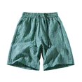 thumbnail image 1 of FINALGANG Mens Casual Plaid Shorts With Elastic Waist Drawstring Breathable Loose Fit Shorts For Summer Daily Wear Outdoor Activities Cozy Shorts, 1 of 7