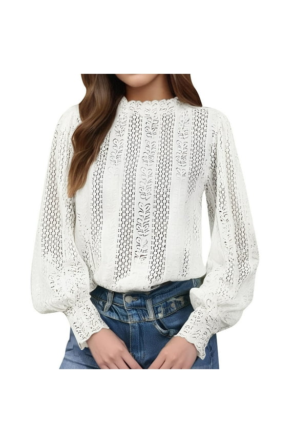 Womens Solid Color High Neck Long Sleeve Blouse Lace Eyelet Pattern Puff Sleeve Flowy Fit Top For Spring Summer Casual Daily Wear White L