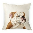 thumbnail image 1 of WIRESTER 18x18 inch Square Decorative Throw Sofa Pillow Cases, Aloof Bulldog, 1 of 7