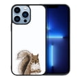 thumbnail image 1 of FINCIBO Soft Rubber Protector Cover Case for Apple iPhone 13 Pro Max 6.7" 2021 (NOT FIT Apple iPhone 13 mini 5.4" 2021/iPhone 13 Pro 6.1" 2021/iPhone 13 6.1" 2021), Brown Gray Squirrel, 1 of 5
